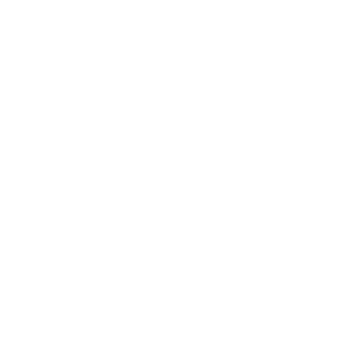 Logo 50 ans